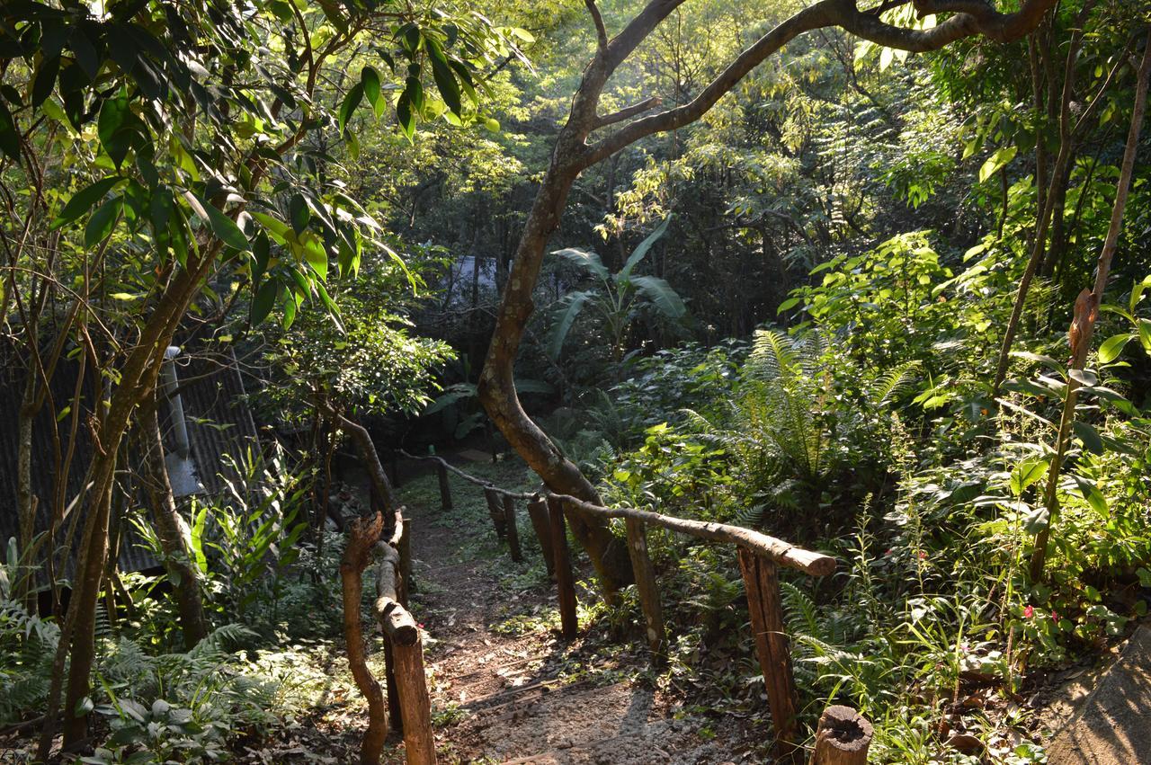 فندق Morro Reuterفي  Sitio Holistico Natureza Sanadora المظهر الخارجي الصورة